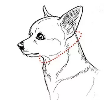 pălărie pentru câini, șapcă de baseball pentru câini, pălării pentru câini cu găuri pentru urechi, șapcă de baseball pentru câini, pălărie pentru animale de companie