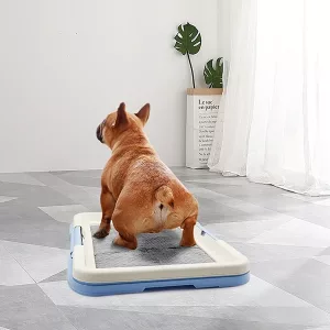 dog potty training, dog litter box, dog toilet, indoor dog potty, dog baths, potty pad holder, potty pad holder