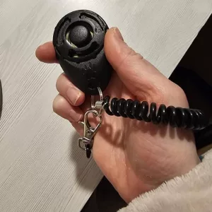 Am primit clicker portabil pentru dresaj câini de la clientul D****n.