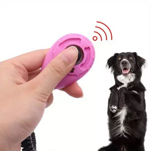 clicker pentru dresajul câinilor