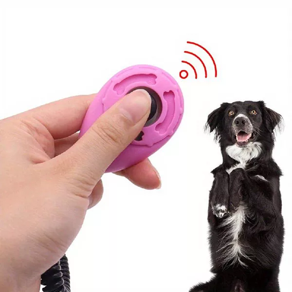 clicker pentru dresajul câinilor