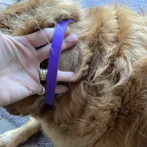 Am primit 3 bucăți de zgardă cu feromoni calmanti pentru câini de la clientul H***e