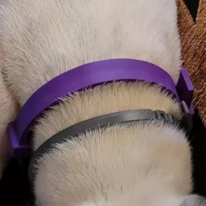 Am primit 3 bucăți de zgardă cu feromoni calmanti pentru câini de la clientul K***n