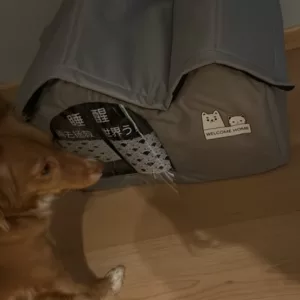 Casă de vară cu aer condiționat pentru câini primită de la clienta L***a