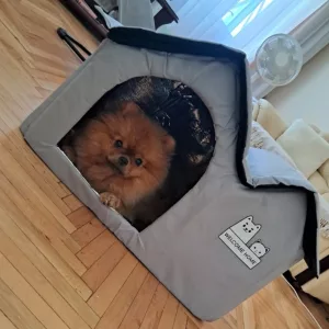 Casă de vară cu aer condiționat pentru câini primită de la clienta M***a