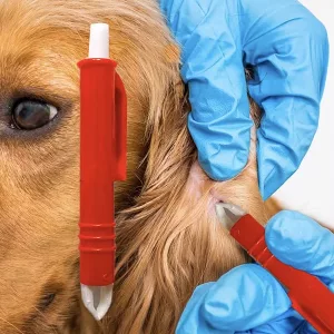 instrument pentru îndepărtarea căpușelor, dispozitiv pentru îndepărtarea căpușelor la câini, pensetă pentru căpușe, dispozitiv pentru îndepărtarea puricilor