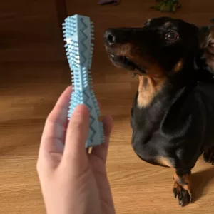 Jucărie de mestecat pentru curățarea dinților primită de la clientul N****e.