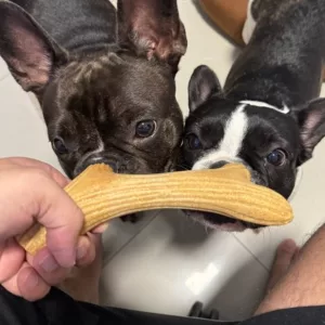 Băț de mestecat din coarne de lemn primit de la clientul C***r.