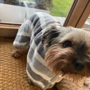 Halat de baie absorbant primit de la clientul H***h pentru câine.