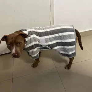 Halat de baie absorbant pentru câini primit de la clientul M****y.