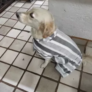 Halat de baie absorbant pentru câini primit de la clientul B****e.