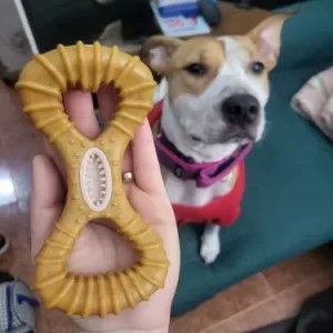 Jucărie de mestecat din lemn indestructibilă primită de la clientul B****e pentru curățarea dinților câinelui.