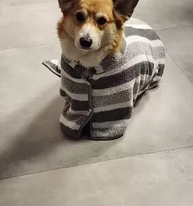 Halat de baie absorbant pentru câini primit de la clienta E***a.