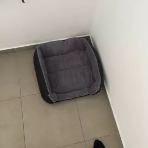 Am primit un pat de câine lavabil cu saltea plușată de la clientul B****p.