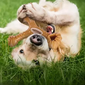 jucărie indestructibilă pentru câini, băţ de mestecat pentru câini, jucărie din lemn pentru câini, jucărie pentru curățarea dinților câinilor