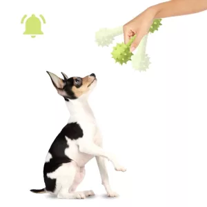 jucărie de mestecat pentru câini, jucărie de cauciuc pentru câini, jucărie scârțâitoare pentru câini, jucărie în formă de ganteră pentru câini