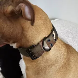 Guler tactic reglabil pentru câini primit de la clientul X****x.