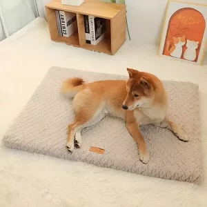 pat de câine lavabil, pat de câine plușat, pat de câine cu husă detașabilă