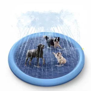piscină de joacă pentru câini