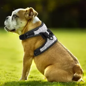 ham pentru câine, vestă ham pentru câine, ham reflectorizant pentru câine, ham pentru câine cu strasuri, ham pentru câine cu pietre strălucitoare