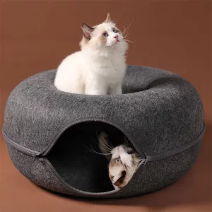 pat donut pentru pisici, tunel donut pentru pisici