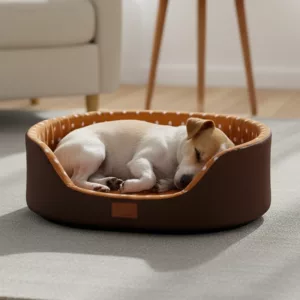 dog bed, dog bed with high sides, round dog bed, raised dog bed