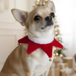dog christmas collar, dog collar with bells, festive dog collars
