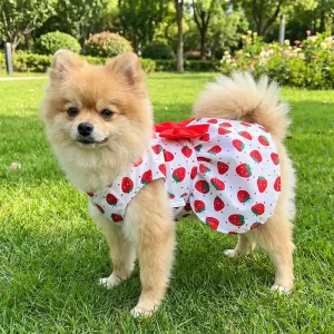 dog princess dress with bow